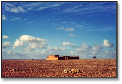 36- Sidi Mokhtar par ALAIN BELLAÏCHE.jpg